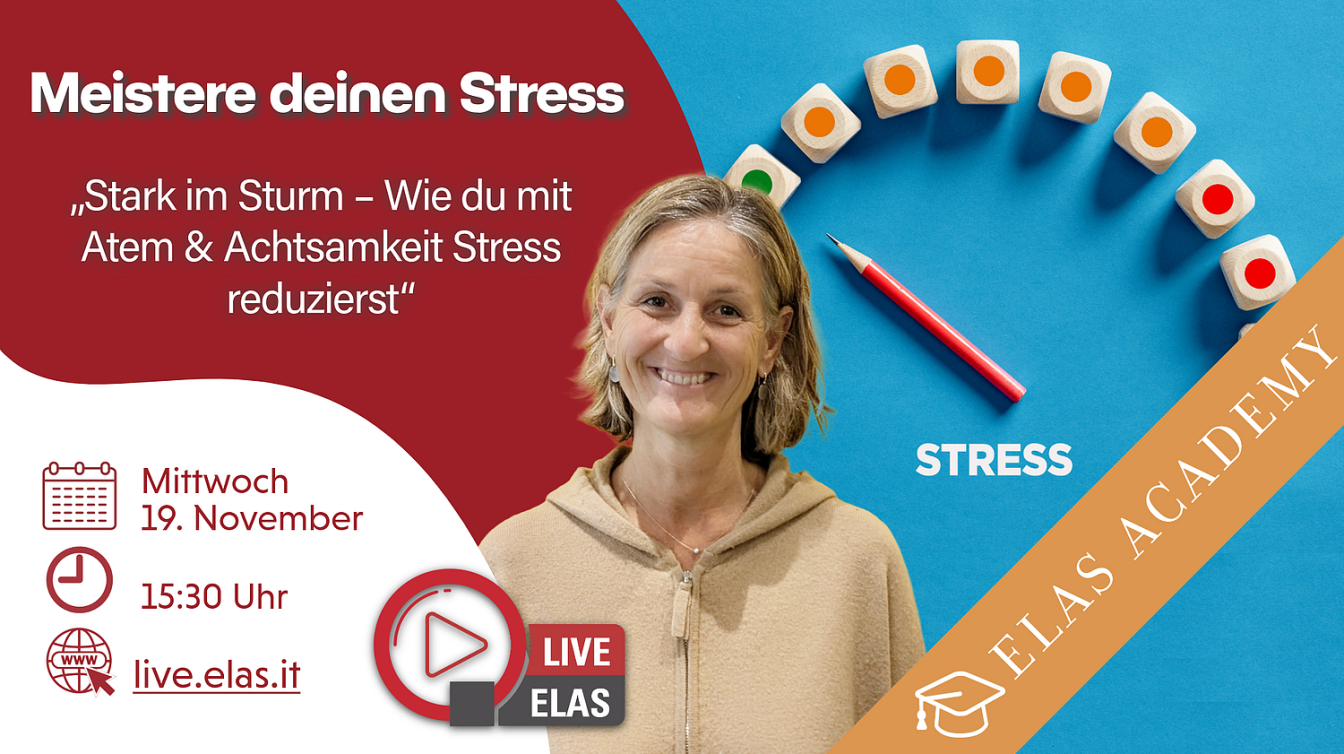 Meistere deinen Stress Meistere deinen Stress